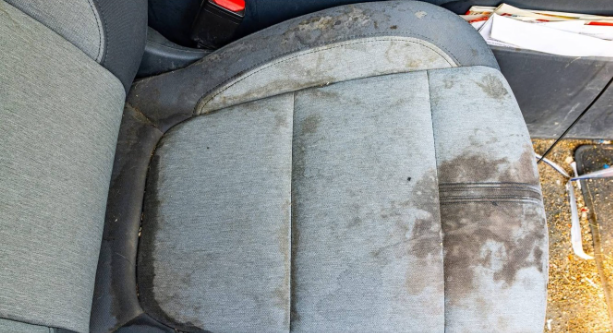 Before — Interior Deep Clean