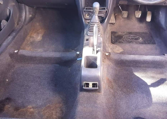 Before — Paint Decontamination & Wax